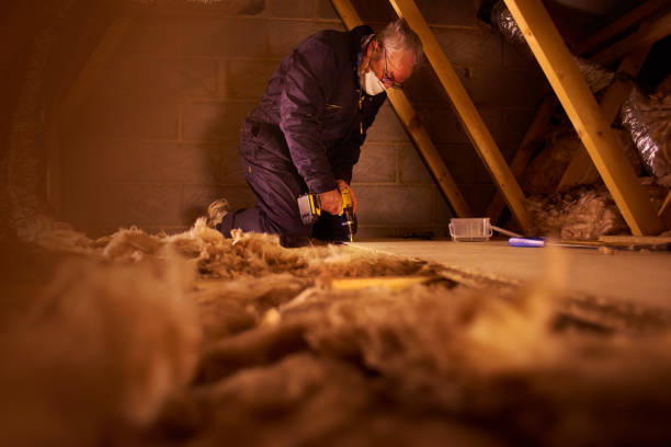 Best Geographic-Specific Insulation Services in Tooele, UT